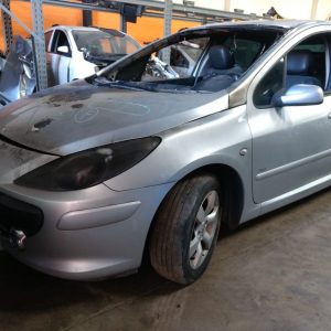 Peugeot 307 2009