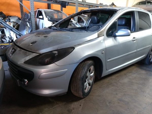 Peugeot 307 2009