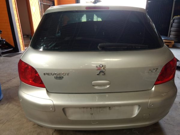 Peugeot 307 2009